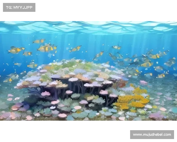 世界之美:走进五彩斑斓的奇妙探索旅程 世界之美:走进五彩斑斓的奇妙探索旅程