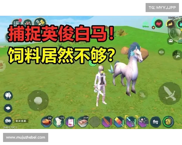 如何骑乘全新英俊白马踏上冒险之旅开启属于你的传奇征程 如何骑乘全新英俊白马踏上冒险之旅开启属于你的传奇征程