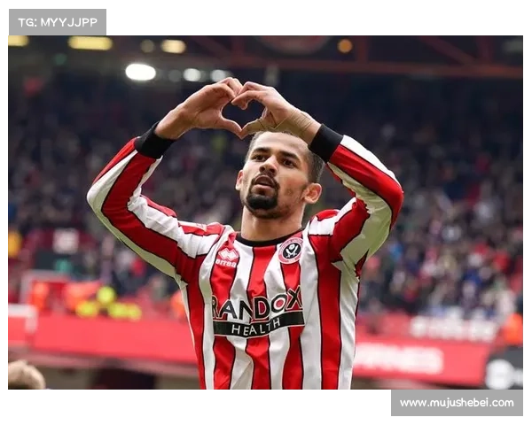 如何了解加的夫城参加的足球联赛类型及其历史发展情况